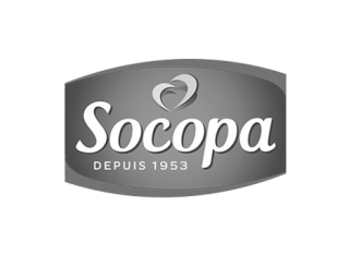 Logo Socopa